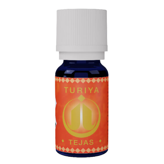 Synergie Tejas