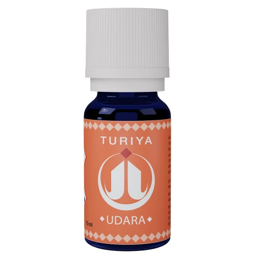 Synergie Udara